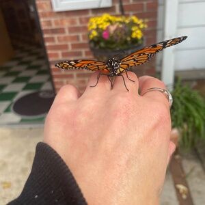 Meet your Posher, Rachel